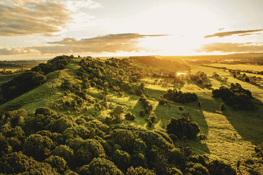 Sautéed Spring Zucchini