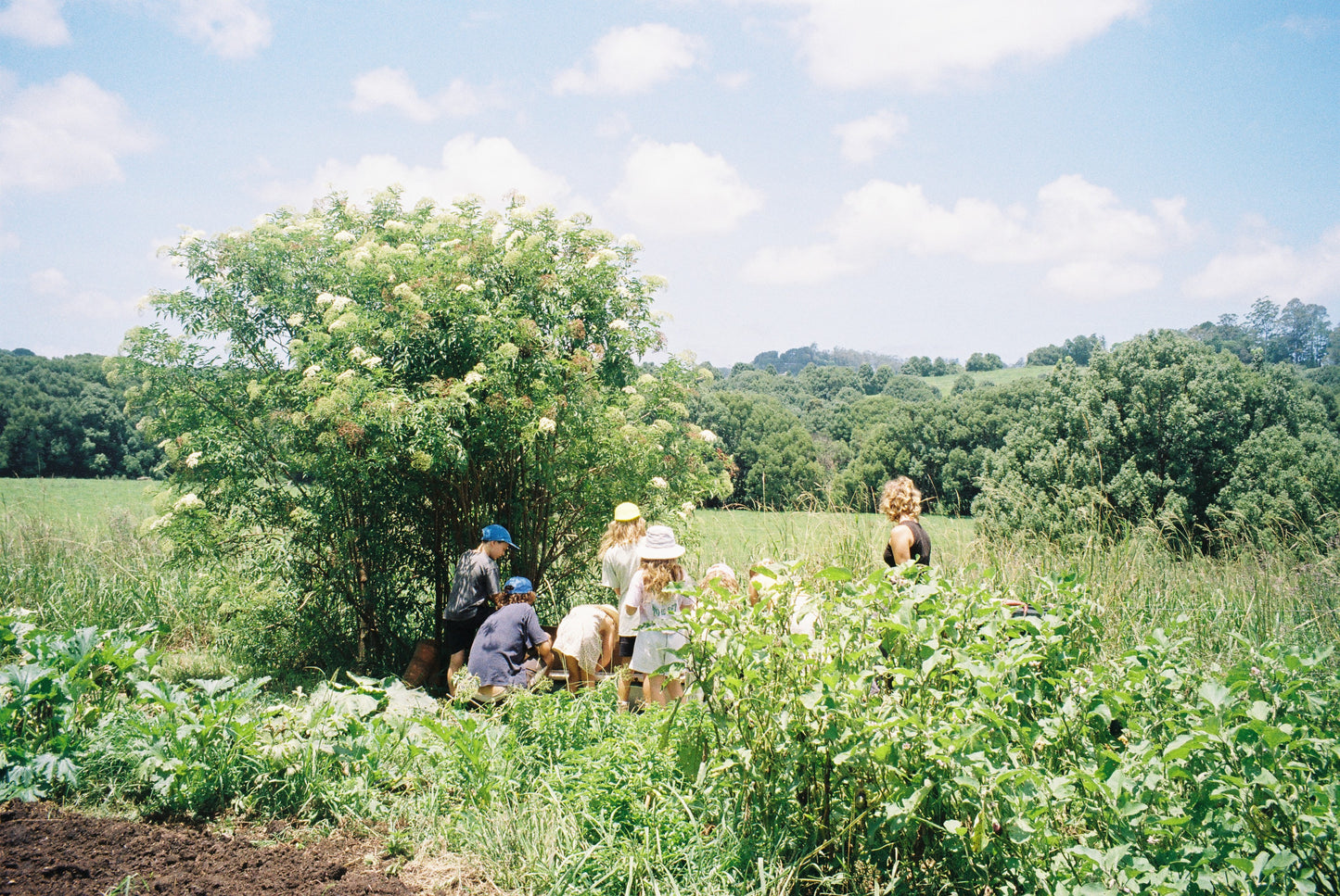 Add Green For You 20L Compost