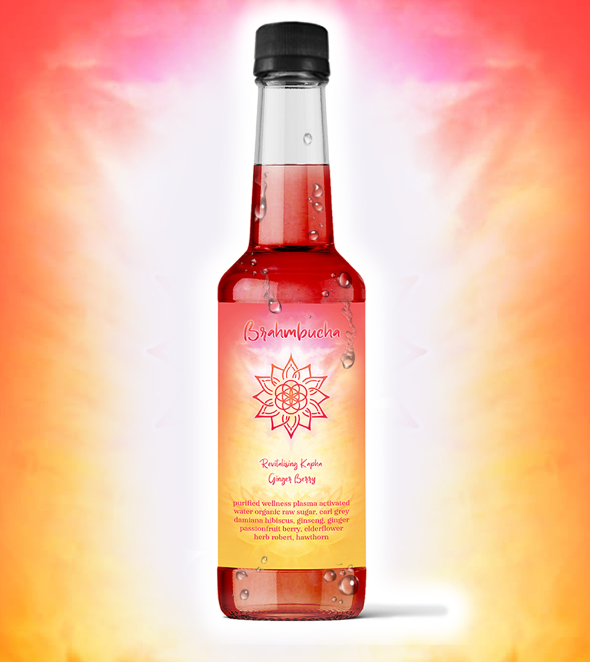 Organic Kombucha - Kapha Ginger Berry 330ml