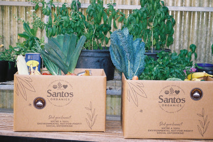 BOX 1: WELLNESS (1-2 people)