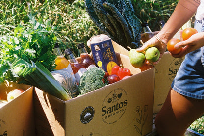 BOX 1: WELLNESS (1-2 people)