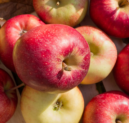 500g Organic Apples