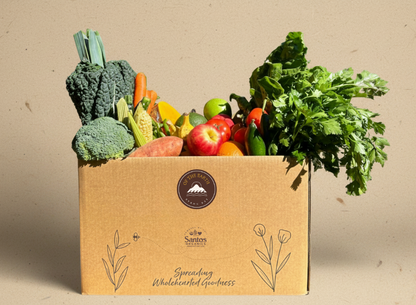 BOX 1: WELLNESS (1-2 people)